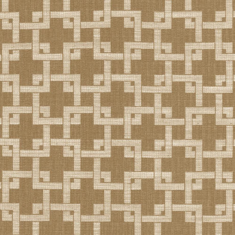 Kasmir Maoming Straw Fabric