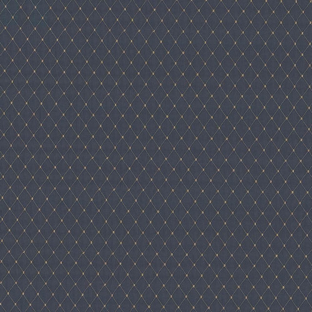 Kasmir Martinez Chambray Fabric