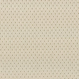 Kasmir Martinez Linen Fabric