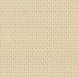 Kasmir Martinez Sand Fabric