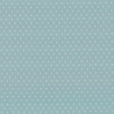 Kasmir Martinez Vapor Fabric