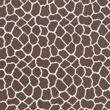 Kasmir Masai Latte Fabric