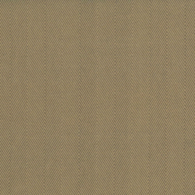 Kasmir Mcclintock Camel Fabric