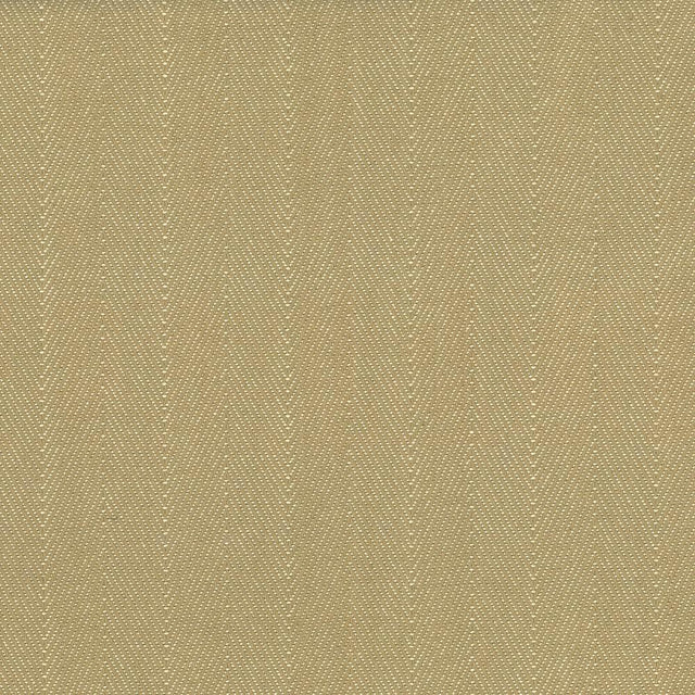 Kasmir Mcclintock Linen Fabric