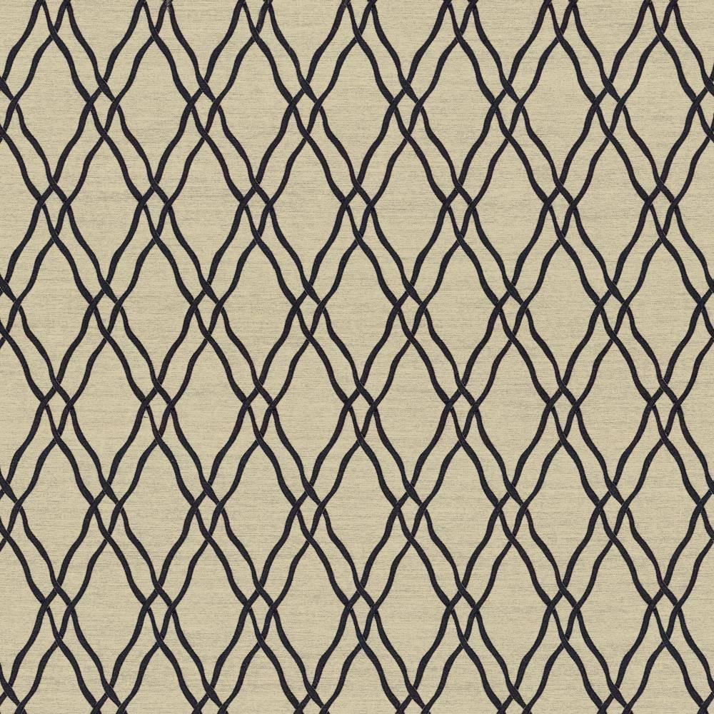 Kasmir Meander Trellis Black Fabric