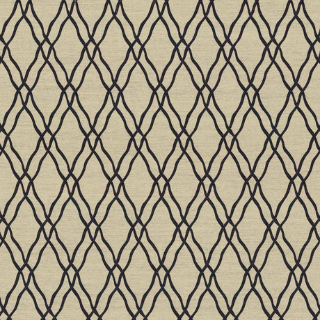 Kasmir Meander Trellis Black Fabric