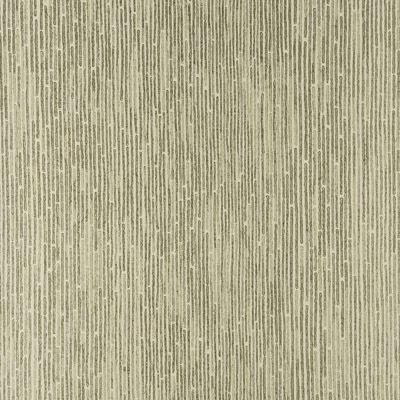 Threads FROSTED BARK CHAMPAGNE Wallpaper