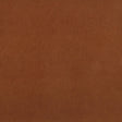 Kravet DESIGN FUTURO 124 Upholstery Fabric