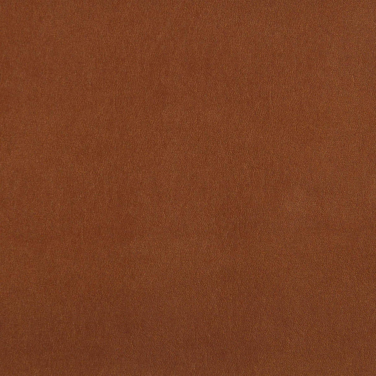 Kravet DESIGN FUTURO 124 Upholstery Fabric