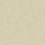 Lee Jofa DUBLIN LINEN PRISM Fabric