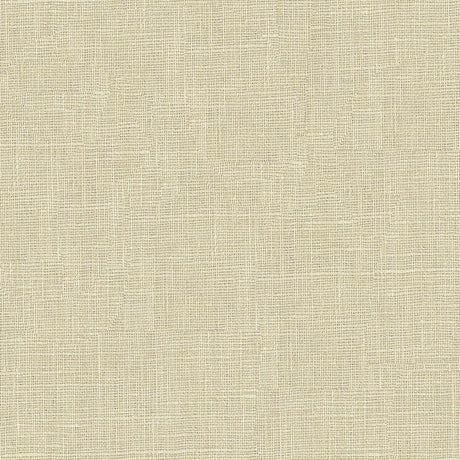 Lee Jofa DUBLIN LINEN PRISM Fabric
