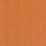 Kasmir Montego Bay Clementine Fabric