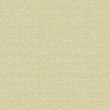 Kravet JET SETTER GOLDEN KISS Upholstery Fabric