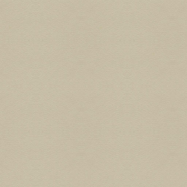 Kravet SUEDE TEXTURE GRIS Upholstery Fabric