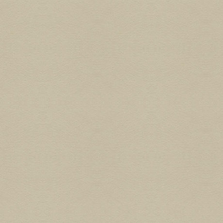 Kravet SUEDE TEXTURE GRIS Upholstery Fabric