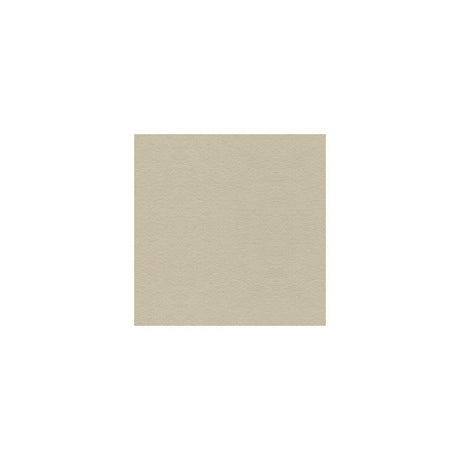 Kravet Suede Texture Gris Fabric