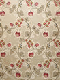 Scalamandre Trottola Strawberry Cream Fabric