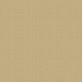 Kravet VETRO GOLDEN Upholstery Fabric