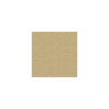 Kravet Vetro Golden Fabric