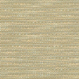 Kasmir Neyland Tweed Mist Fabric