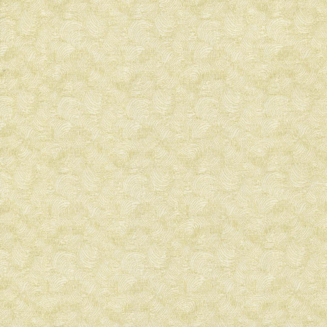 Kasmir Nimbus Natural Fabric