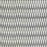 Schumacher Kilimanjaro Ikat Charcoal Fabric
