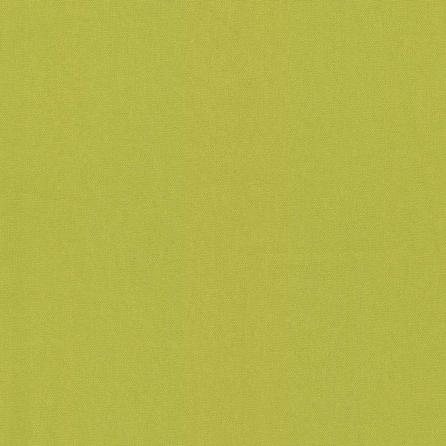 Kasmir Nonchalant Lime Fabric