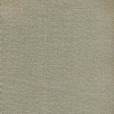 Kasmir Nonchalant Linen Fabric