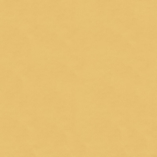 Kravet LUSTER SATIN SHELL Drapery Fabric