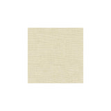 Kravet Mesmerizing Ivory Fabric