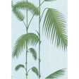 Cole & Son PALM LEAVES PALE BL Wallpaper