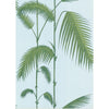 Cole & Son Palm Leaves Pale Bl Wallpaper