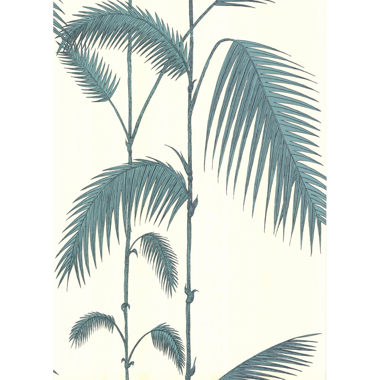 Cole & Son PALM LEAVES WHITE/G Wallpaper