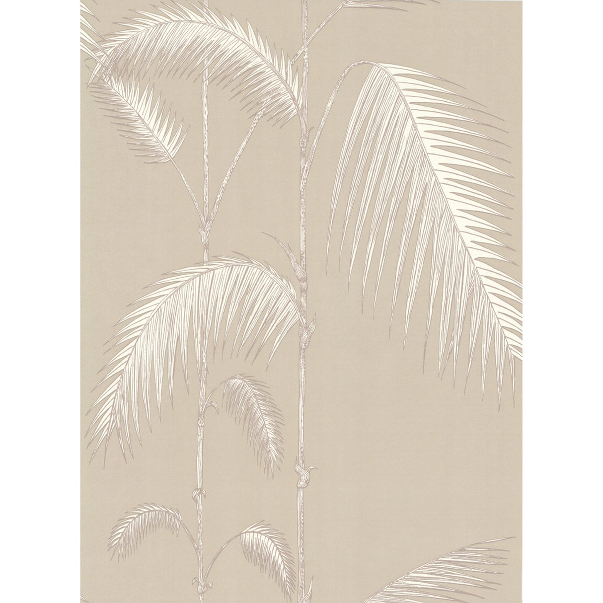Cole & Son PALM LEAVES TAUPE/W Wallpaper