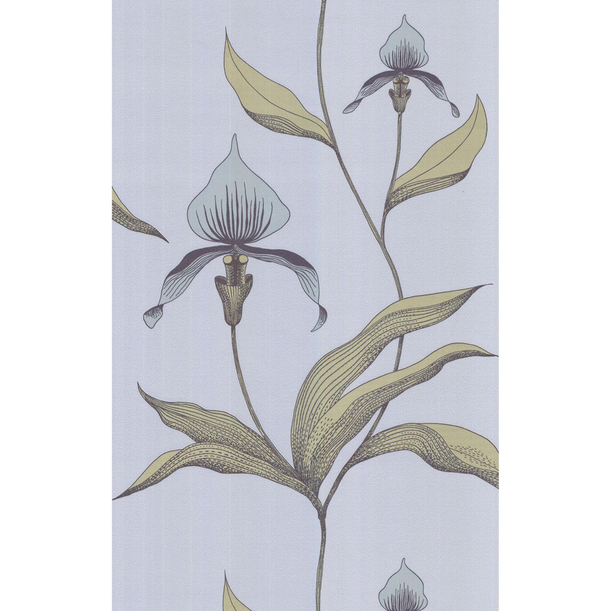 Cole & Son ORCHID BLUE GR Wallpaper