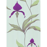Cole & Son ORCHID TURQUOI Wallpaper
