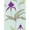 Cole & Son Orchid Turquoi Wallpaper