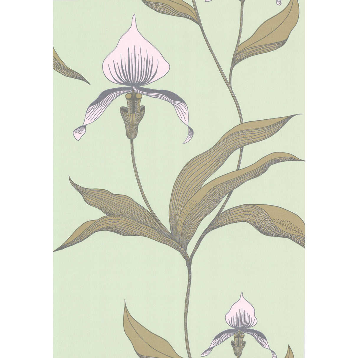 Cole & Son ORCHID PALE GR Wallpaper