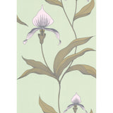 Cole & Son ORCHID PALE GR Wallpaper