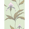 Cole & Son Orchid Pale Gr Wallpaper