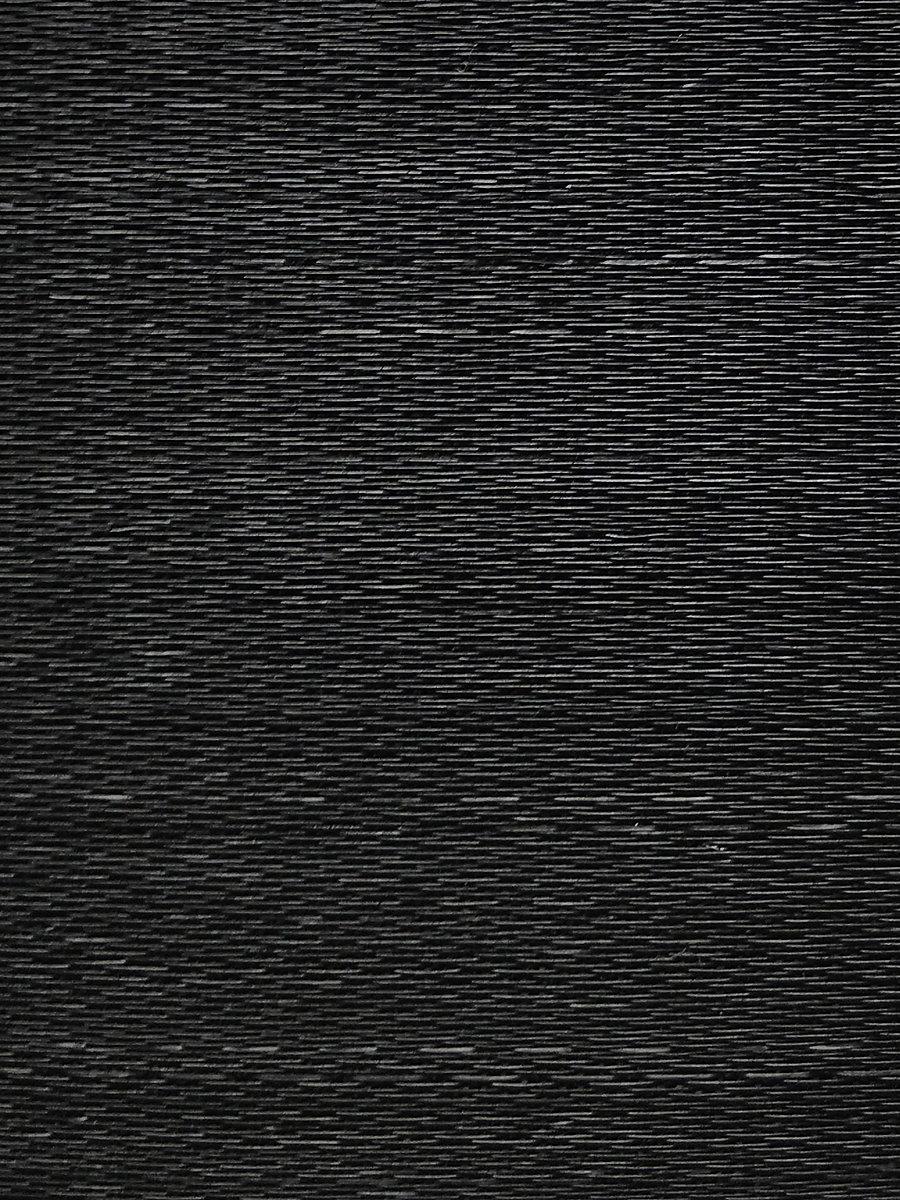 Scalamandre Noriker Horsehair Black Fabric