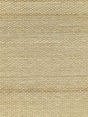 Scalamandre Noriker Horsehair Ivory Fabric