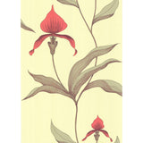 Cole & Son ORCHID LIME/OR Wallpaper
