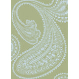 Cole & Son RAJAPUR PALE BL/GN Wallpaper