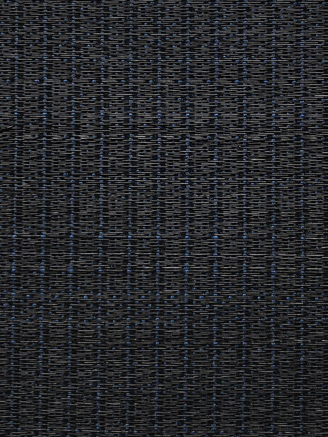 Scalamandre Rottaler Horsehair Blue / Black Fabric