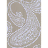 Cole & Son RAJAPUR PALE BL/TPE Wallpaper