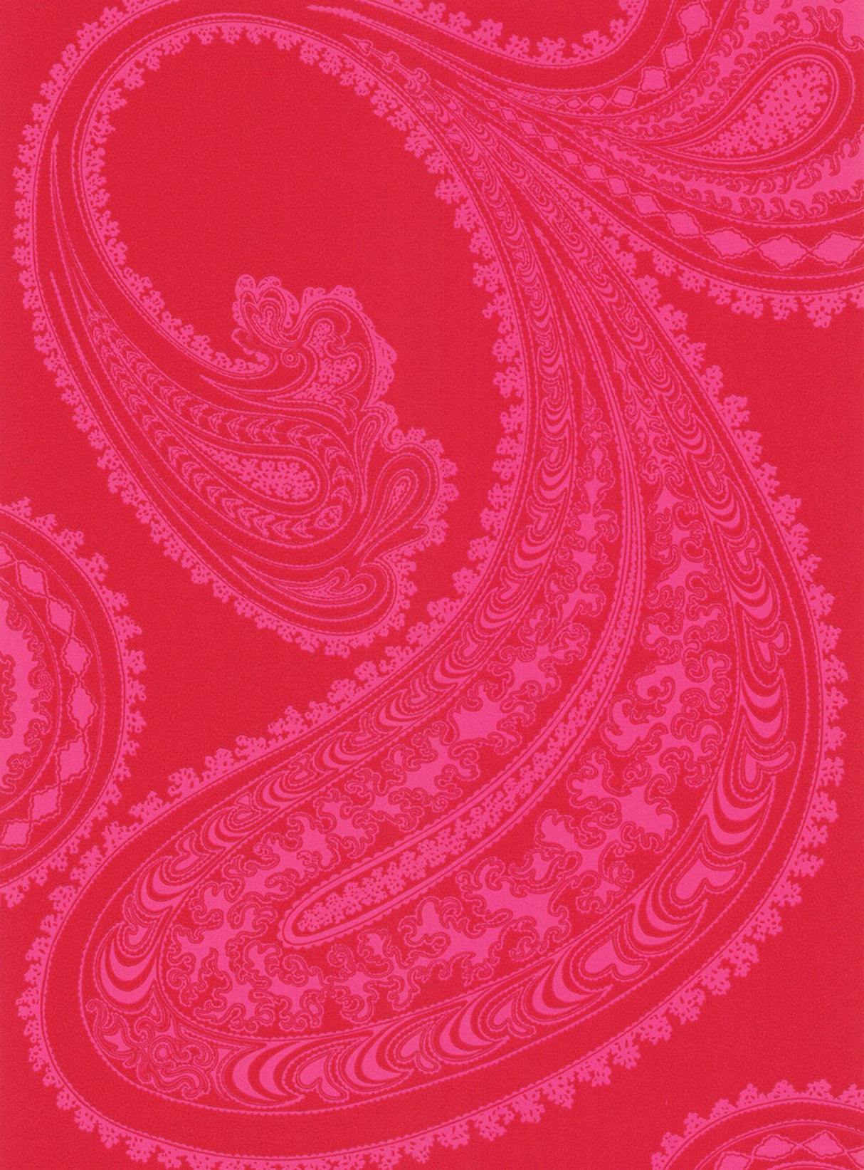 Cole & Son RAJAPUR PINK/RE Wallpaper