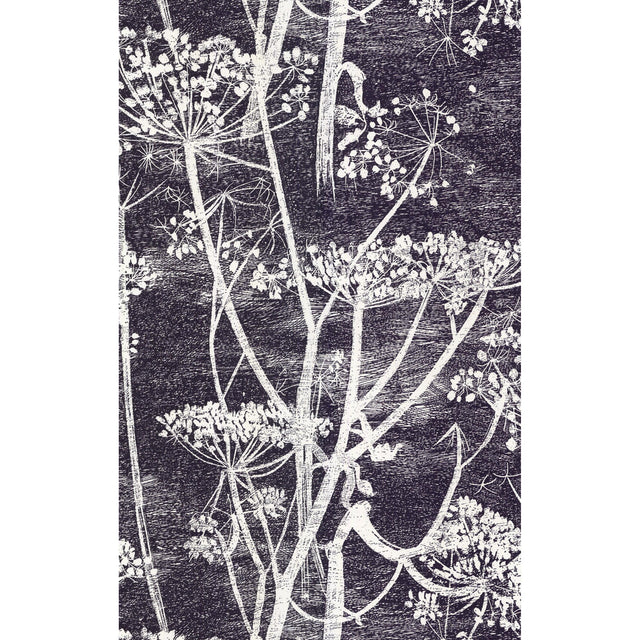 Cole & Son COW PARSLEY WHITE/BLK Wallpaper