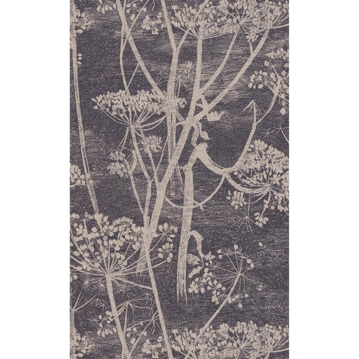 Cole & Son COW PARSLEY TAUPE/B Wallpaper