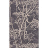 Cole & Son Cow Parsley Taupe/B Wallpaper
